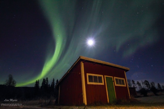 Nordlys northern lights aurora borealis