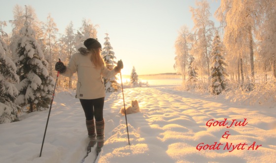 christmas card god jul merry winter landscape nordic snow frost dog skiing