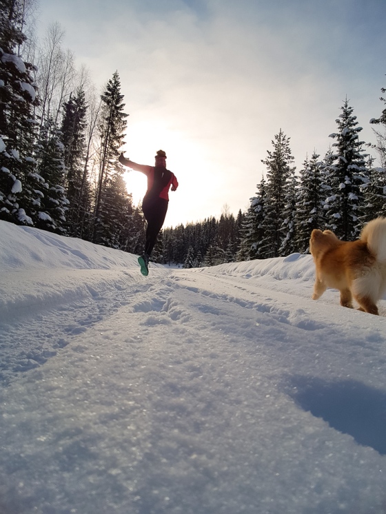 Winter running snow run jogg lapphund trail
