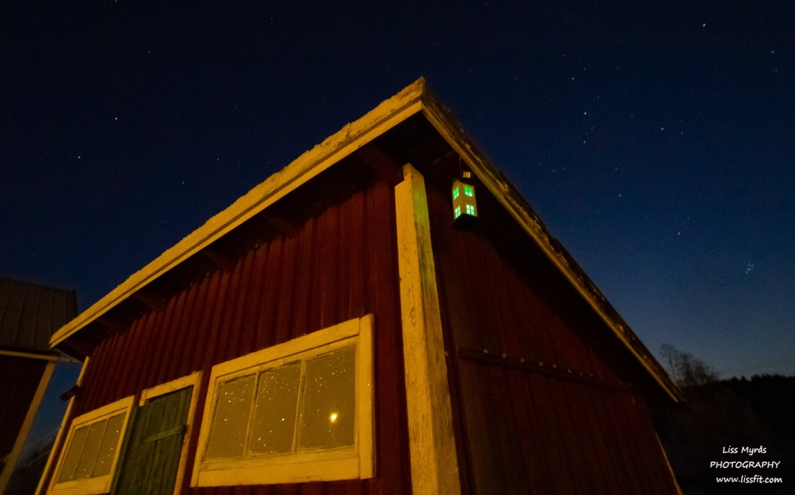 bird house solar light solcell ljus fågelmatare nigth nattlysnordic arctic polar frost